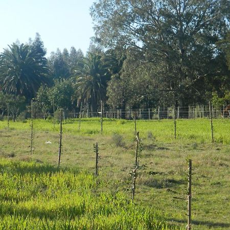 Casa De Campo Lo De Fatsia Колония-дель-Сакраменто Номер фото