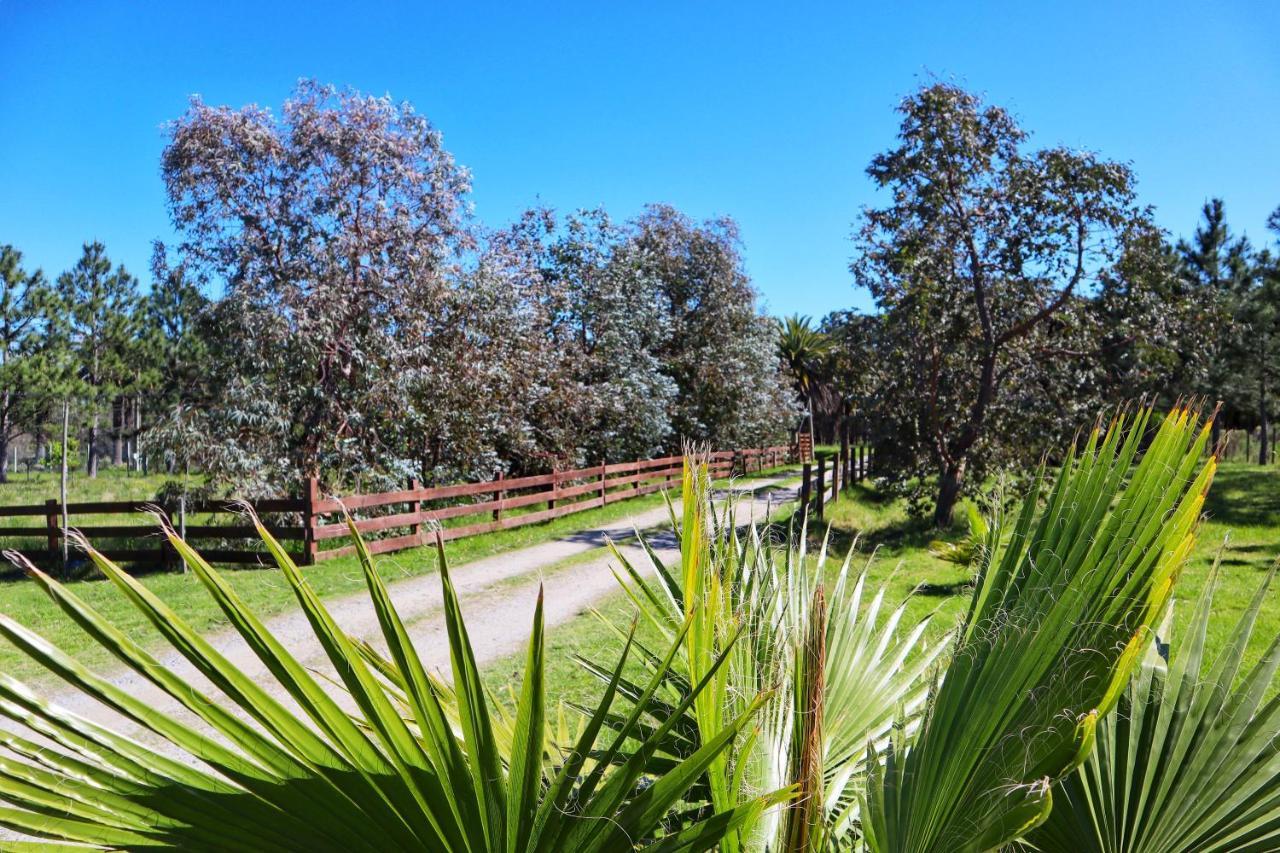 Casa De Campo Lo De Fatsia Колония-дель-Сакраменто Экстерьер фото